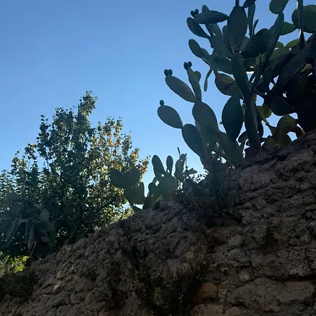 La Rosa Blu B&B 게라스