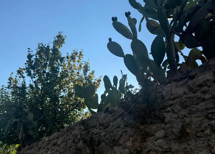 La Rosa Blu Bed & Breakfast Gerace